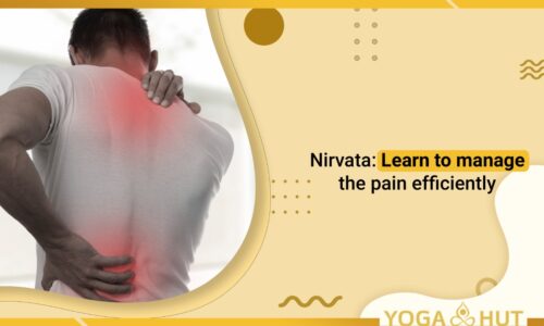 Nirvata: Learn to manage the pain efficiently
